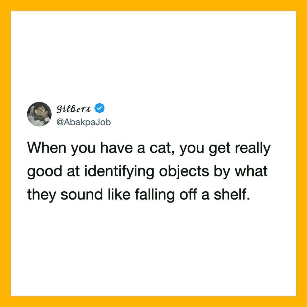 When you have a cat, you get really good at identifying objects by what they sound like falling off.