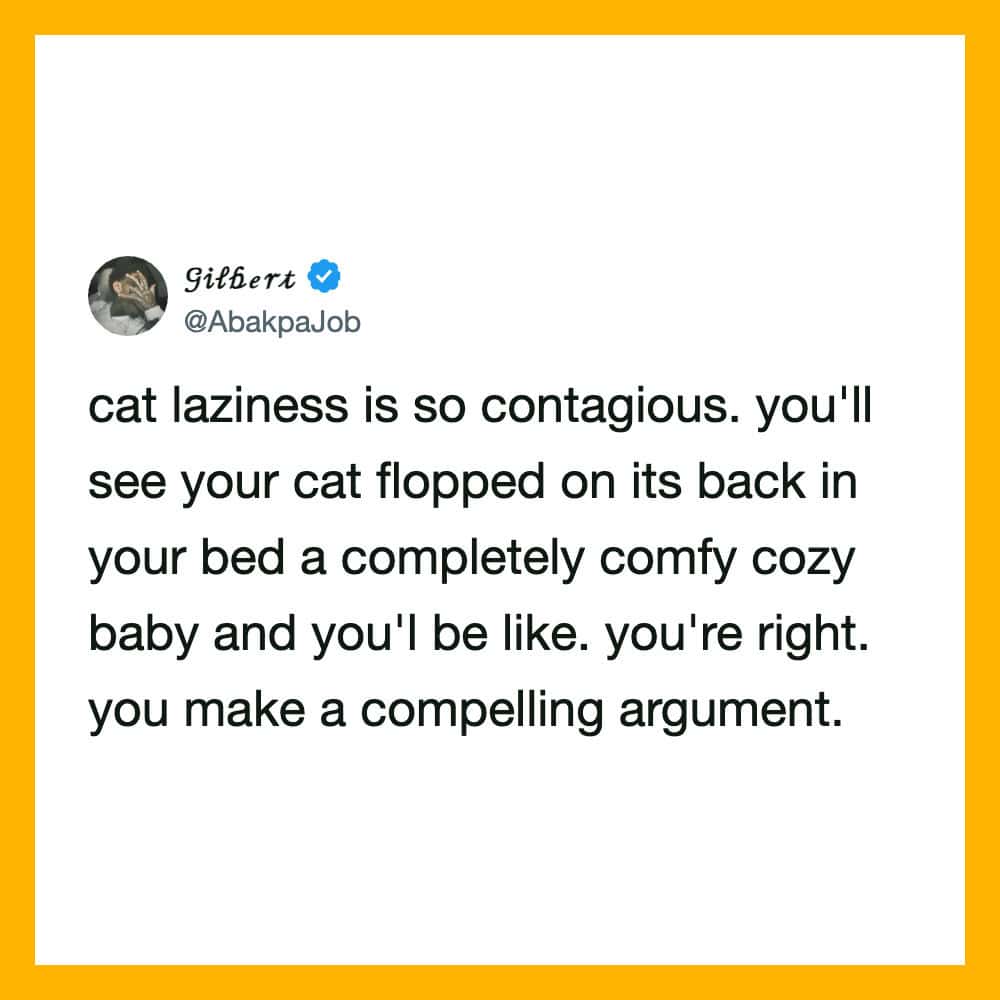 Tweet by Gilbert about cat laziness being contagious and relatable.