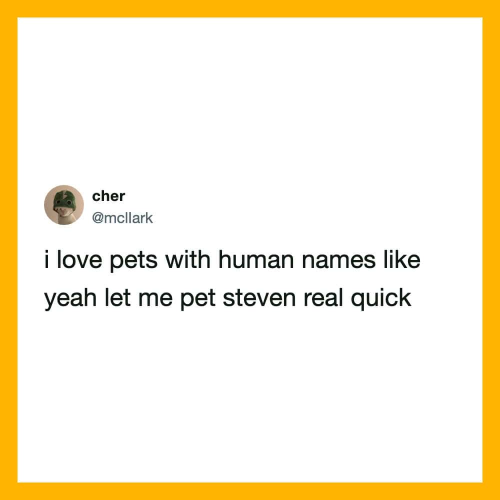 Tweet about loving pets with human names like Steven.