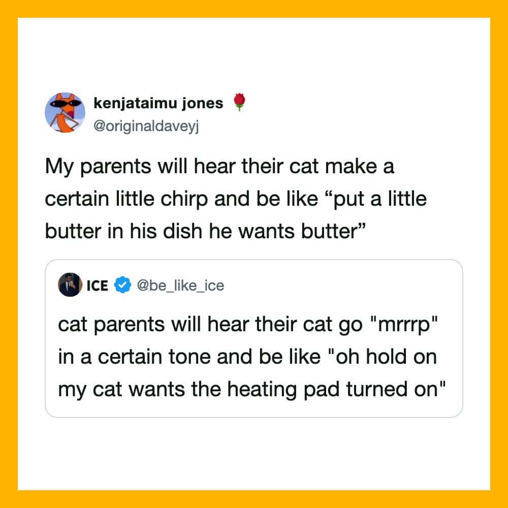Twitter post about cat sounds and parents' reactions, with a humorous tone.