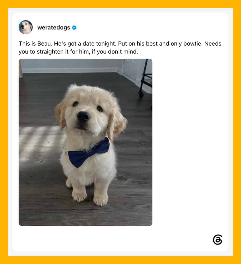 Cute golden retriever puppy wearing a blue bowtie, sitting on a wooden floor.