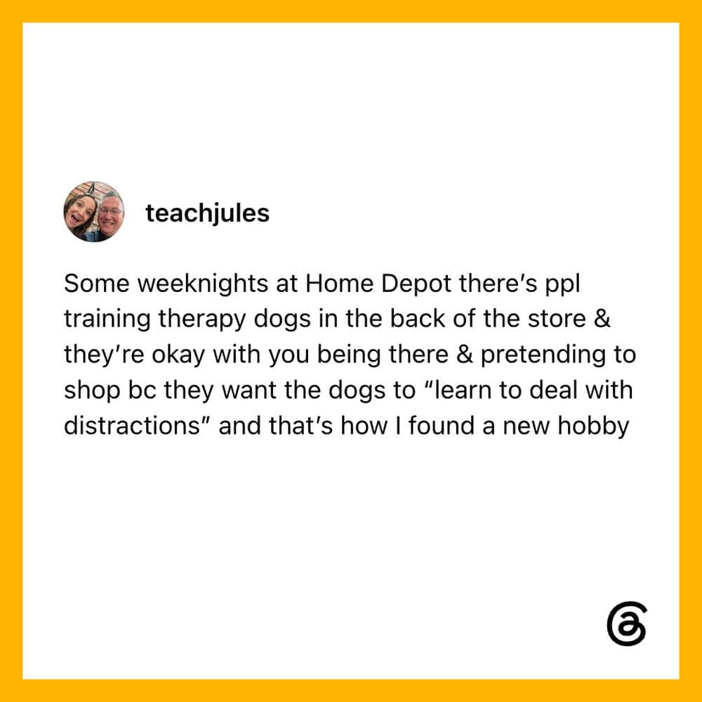 Training therapy dogs at Home Depot with people pretending to shop.