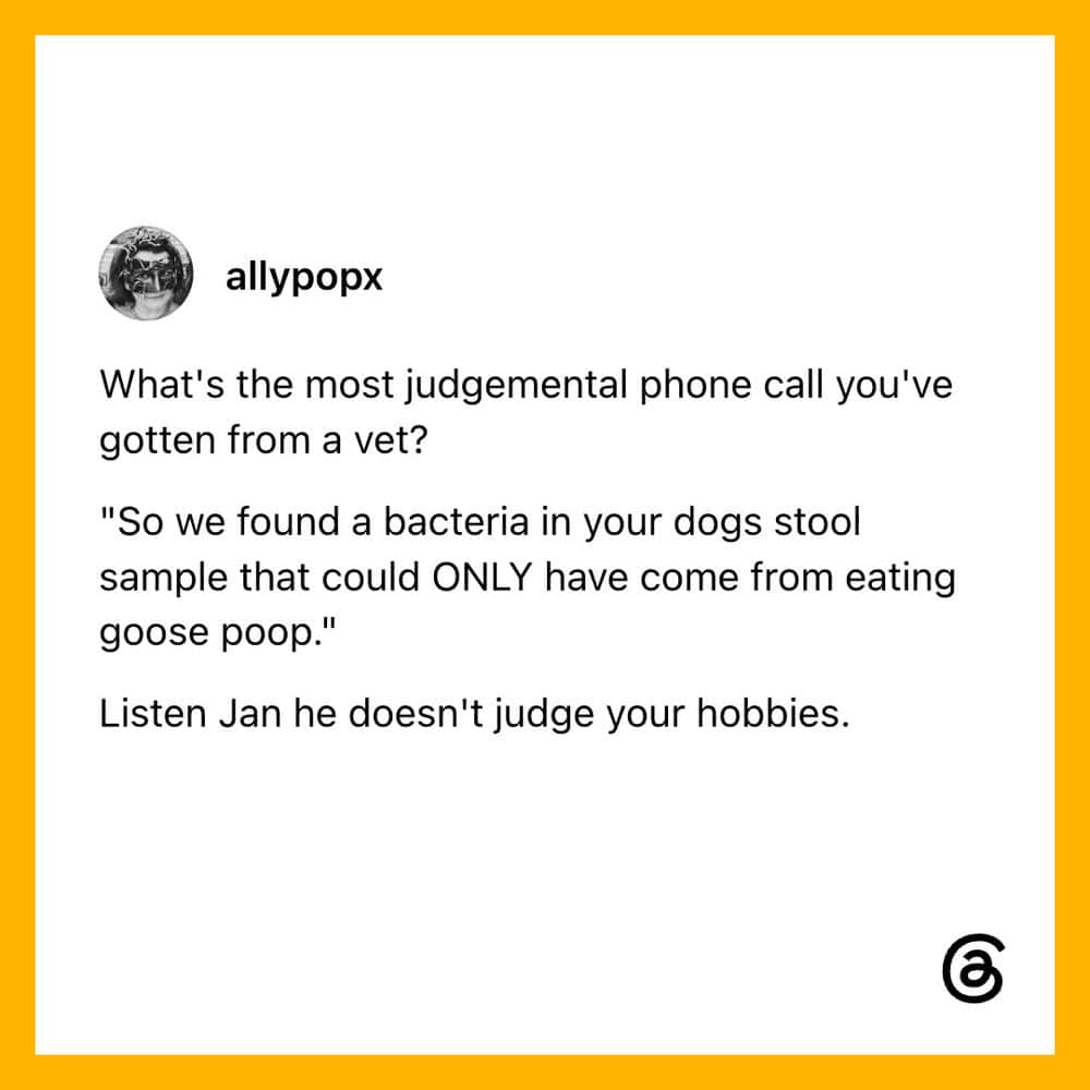 Funny pet post about a vet and bacteria in a dog's stool sample.