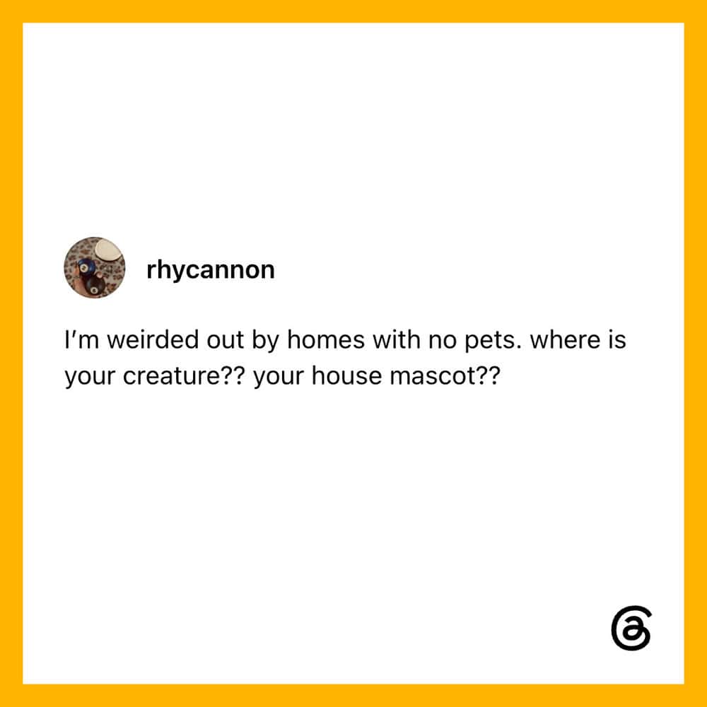 I'm weirded out by homes with no pets. where is your creature?? your house mascot??.