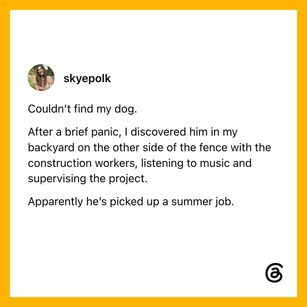 Dog found on backyard fence listening to music after brief panic.