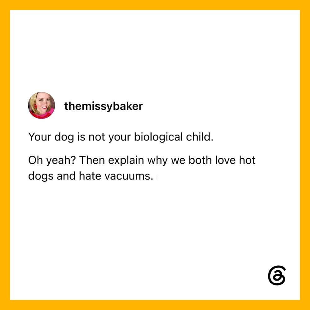 Social media post about dogs and vacuums with humorous text.
