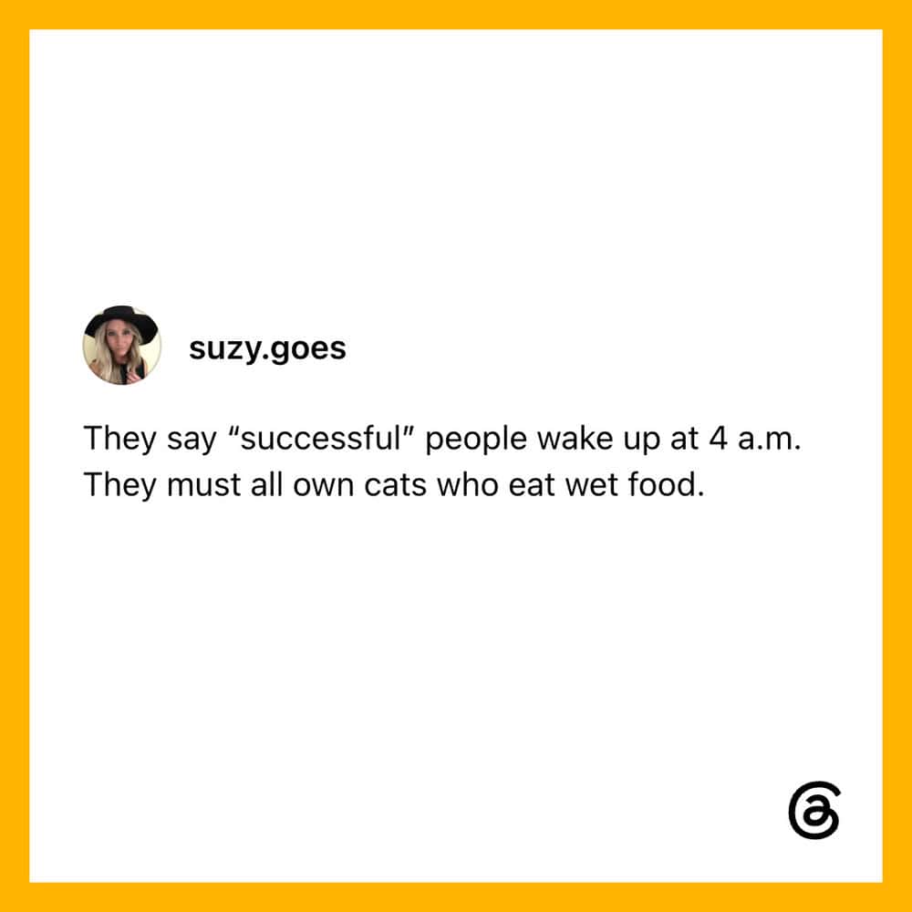 They say successful people wake up at 4 a.m. They must all own cats who eat wet food.