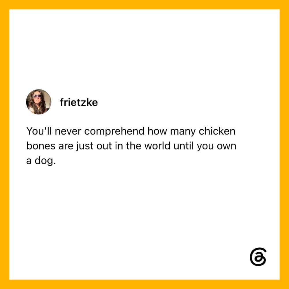 Quote about chicken bones and owning a dog from 'funniest pet posts'.