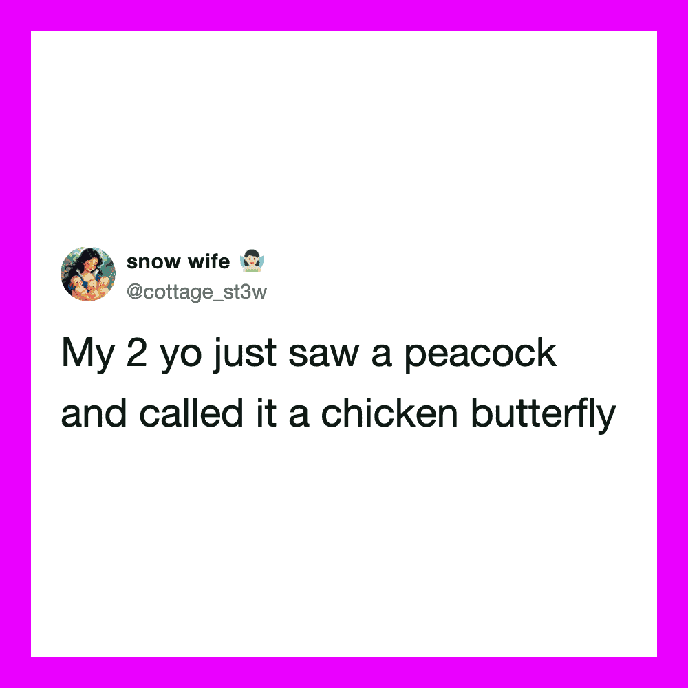 Twitter post about a child calling a peacock a chicken butterfly.