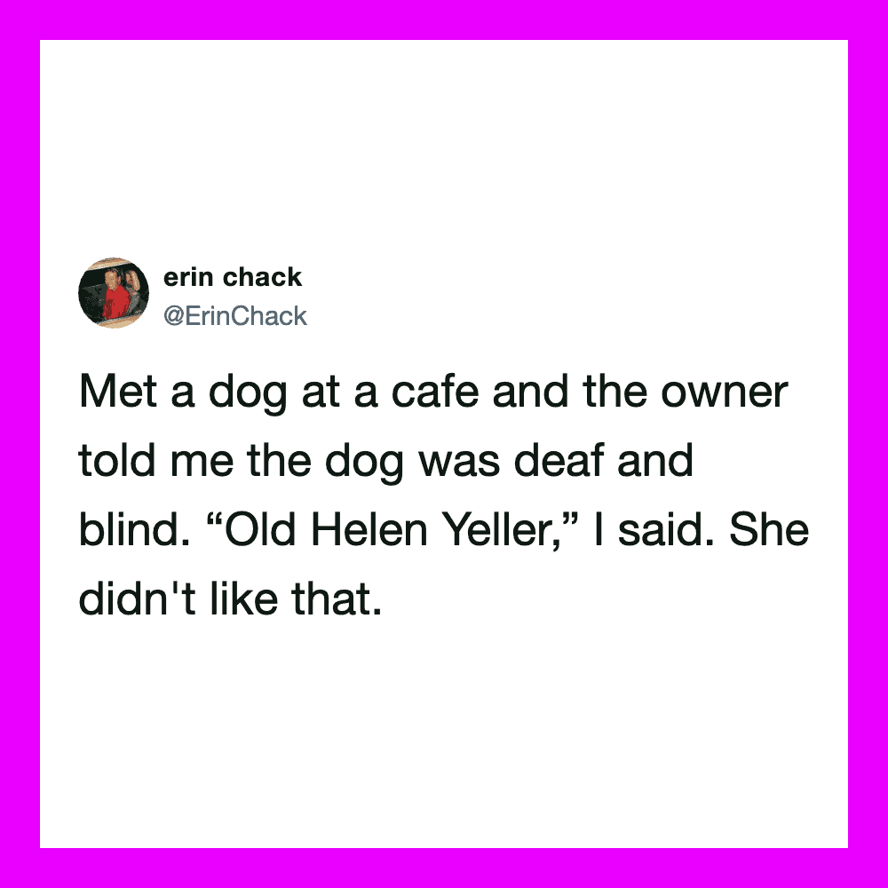 A tweet about meeting a deaf and blind dog named Helen Yeller.