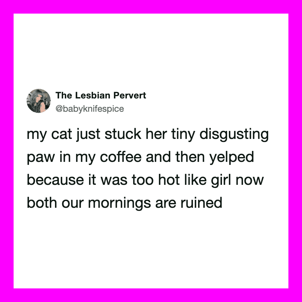 A tweet from The Lesbian Pervert about her cat and coffee.