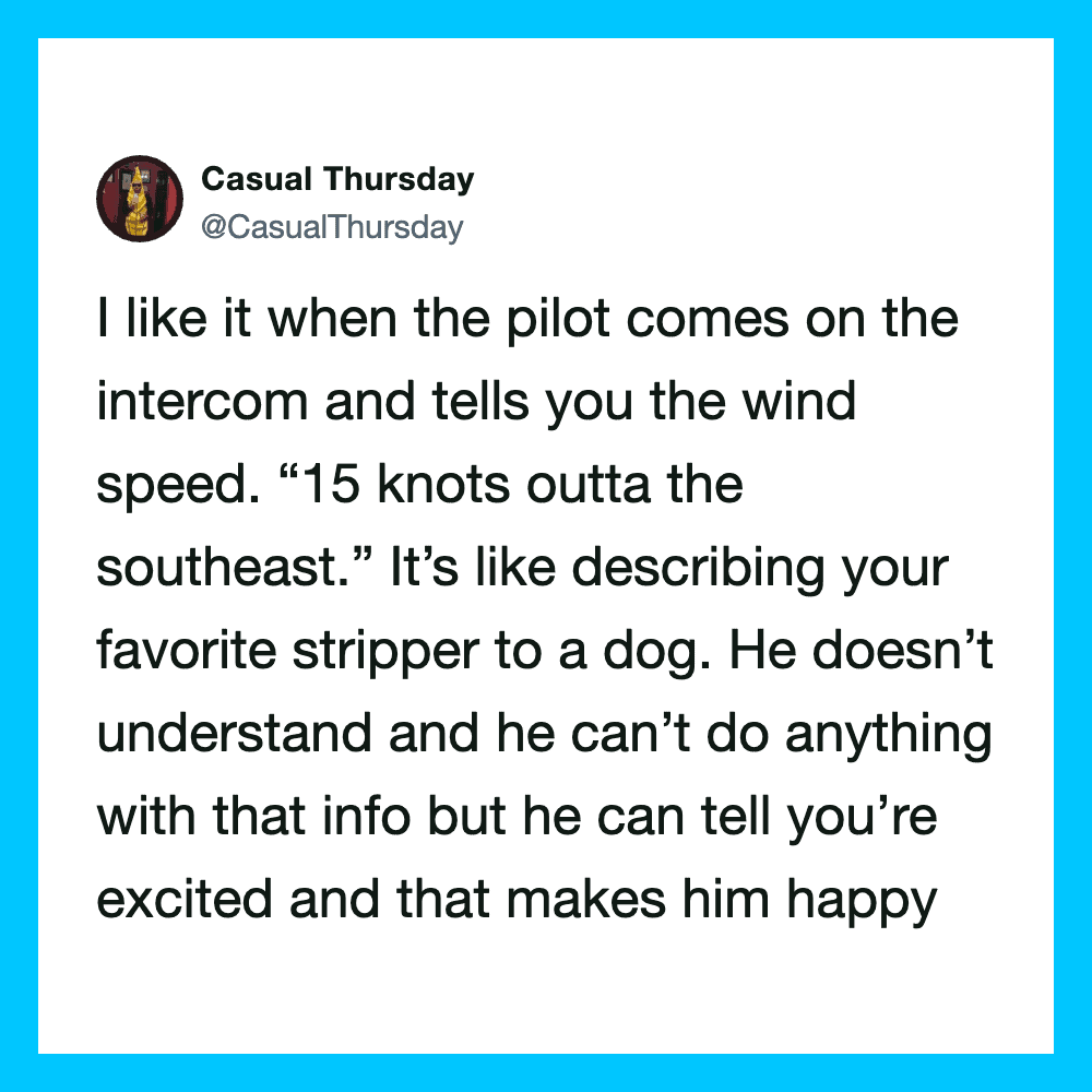 A tweet from Casual Thursday about pilot and wind speed, comparing it to a dog and a stripper.