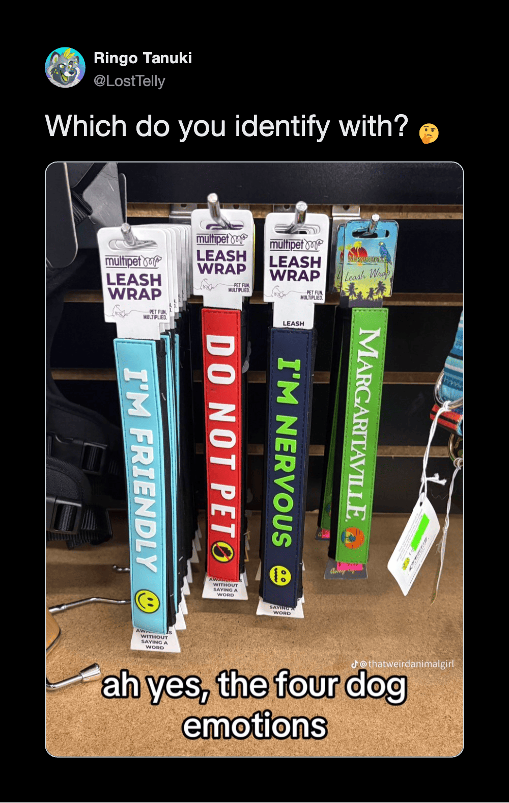 Four dog leashes with humorous labels and a tag, with caption about dog emotions.