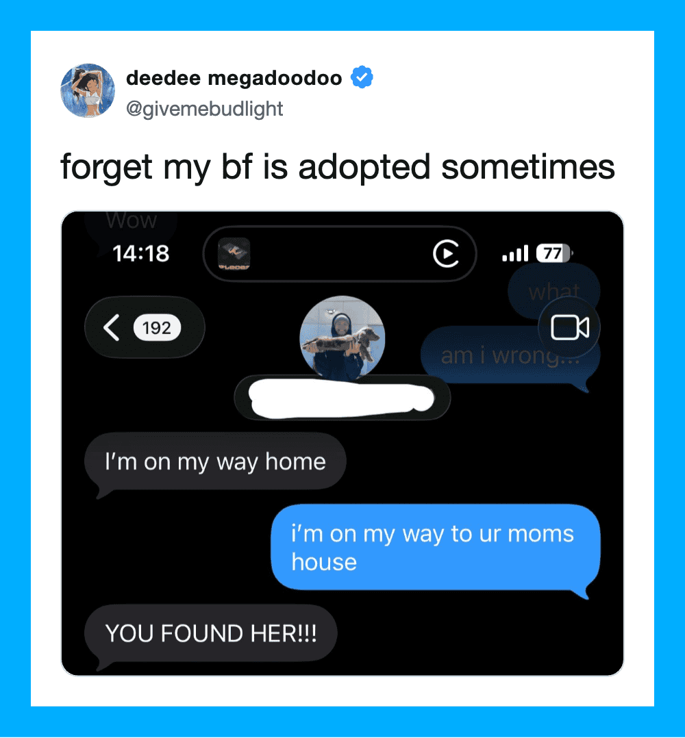 Text conversation about a dog, with a humorous comment about adoption.