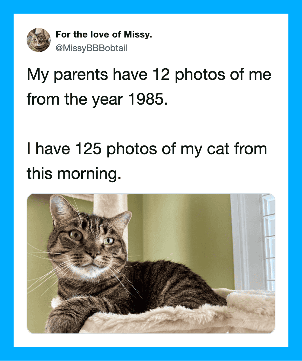 Tweet about parents' old photos and new cat photos with a cat image.