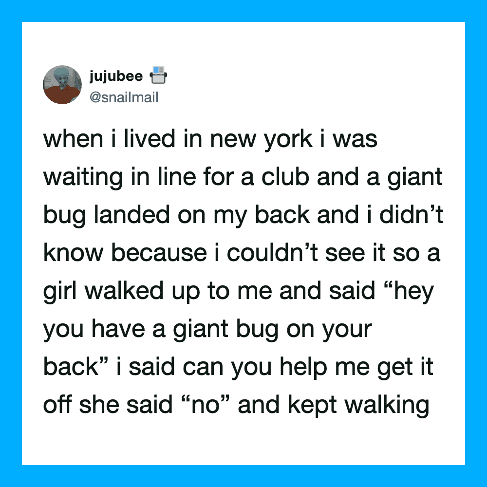 Twitter post about a giant bug landing on someone's back in New York.