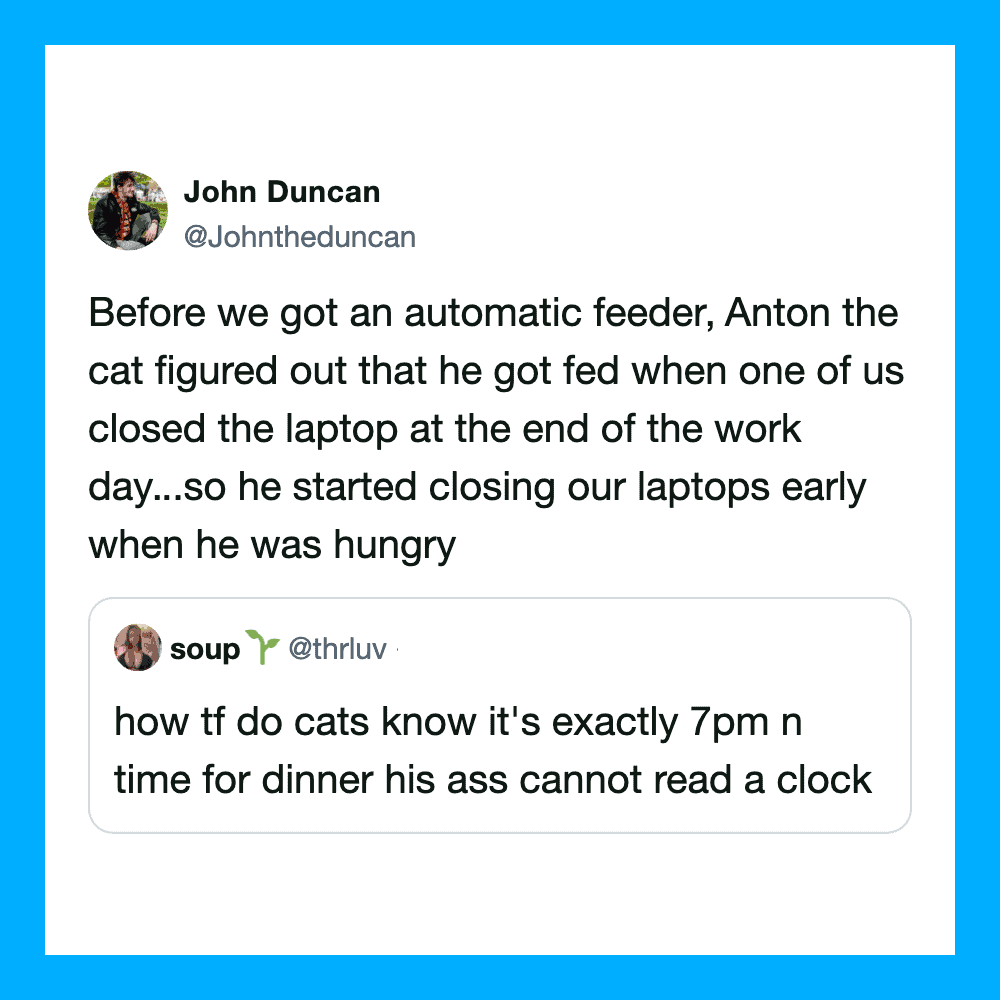 John Duncan's tweet about his cat Anton and feeding habits.