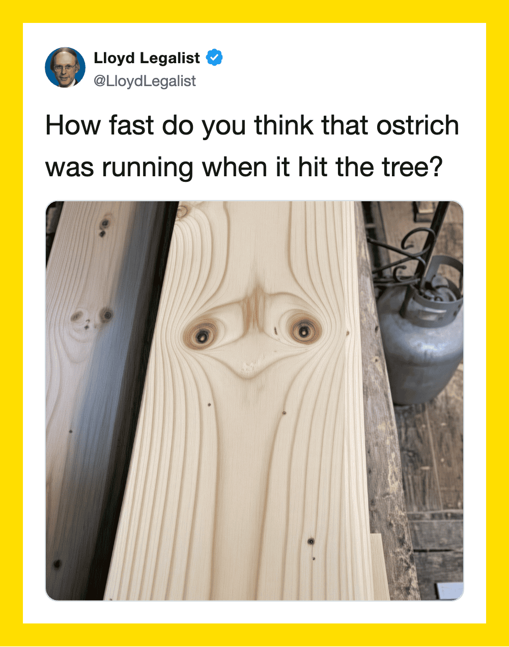 Twitter post by Lloyd Legalist about an ostrich hitting a tree, with a funny face on the wood.