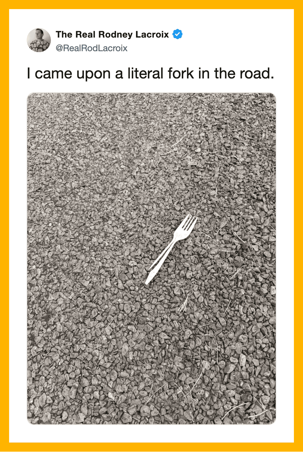 A fork on the road with a humorous caption about a literal fork in the road.