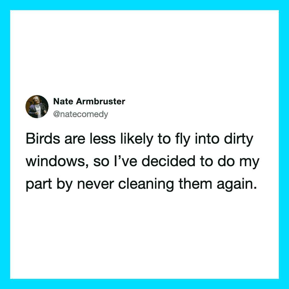 Nate Armbruster's tweet about birds and dirty windows.