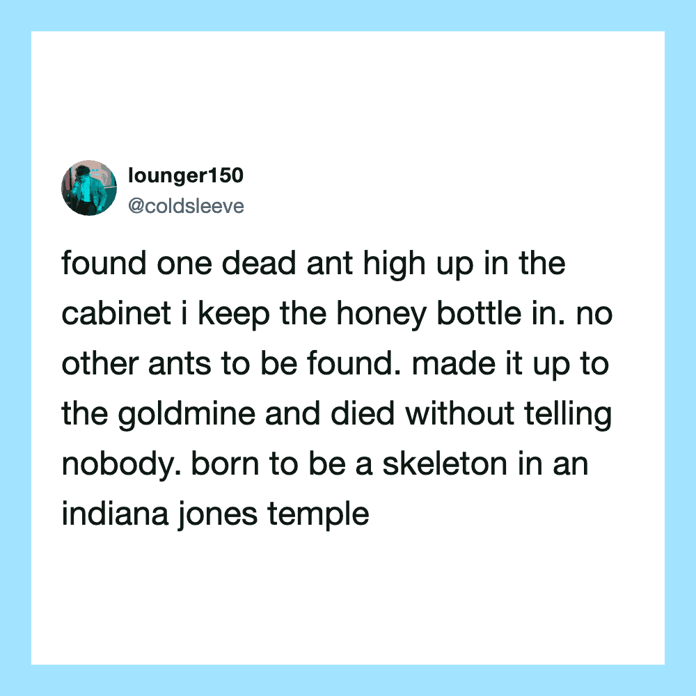 A tweet about finding a dead ant in a honey bottle, comparing it to a skeleton in an Indiana Jones'.
