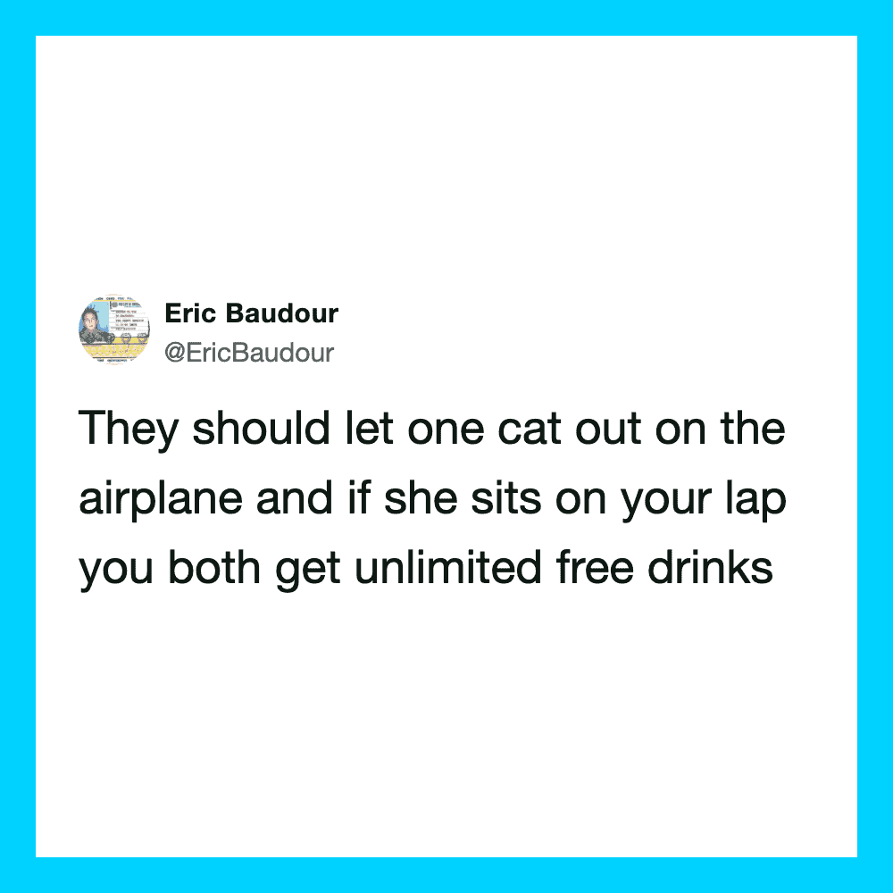 Tweet by Eric Baudour about letting a cat out on the airplane for free drinks.