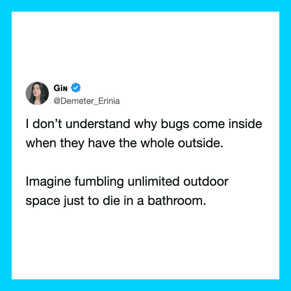 Twitter post by Demeter_Erinia about bugs outside and inside.