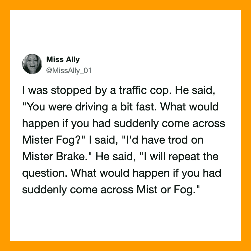 Miss Ally's tweet about being stopped by a traffic cop and a humorous question about Mist or Fog.