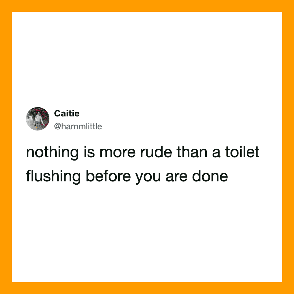 Tweet by Caitie: nothing is more rude than a toilet flushing before you are done.