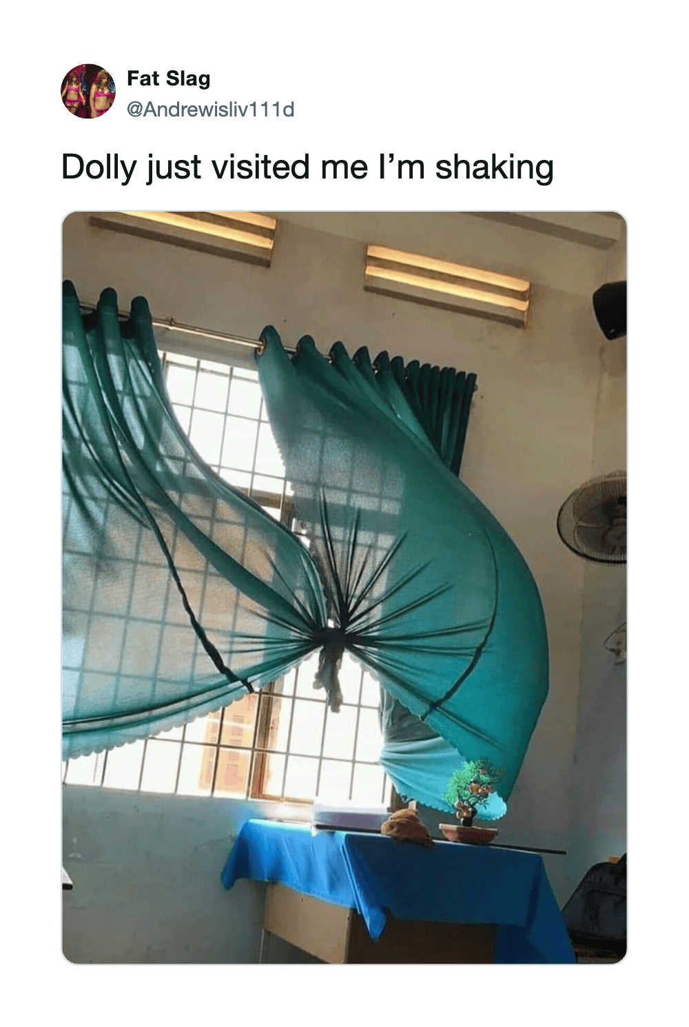A person is holding a large, blue, inflatable dolphin in a room.
