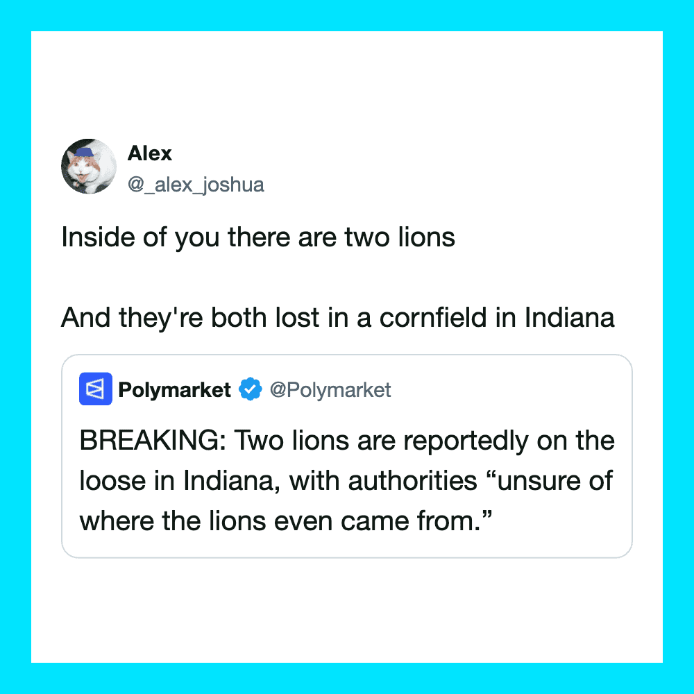Alex's tweet about two lions lost in a cornfield in Indiana, referencing a news report.