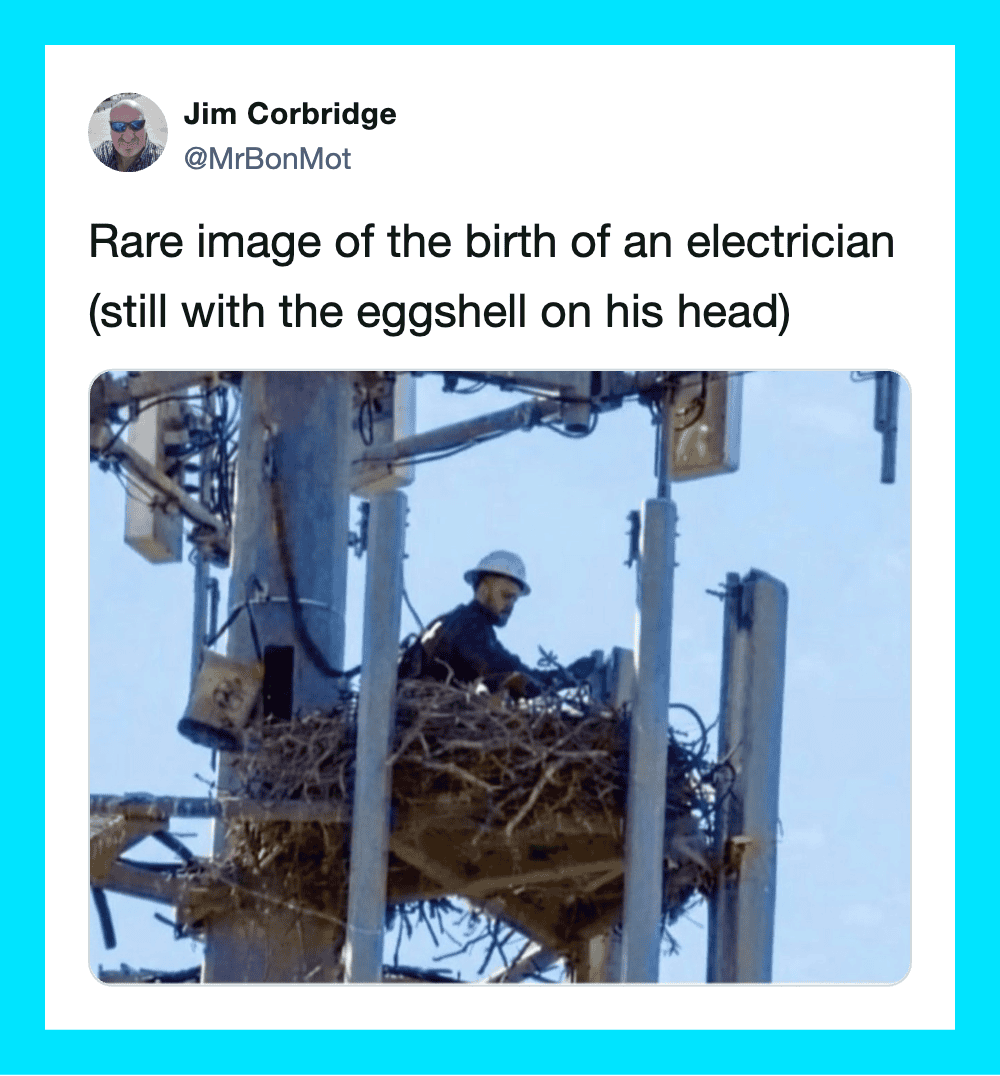 Rare image of an electrician with eggshell on head working on power pole.