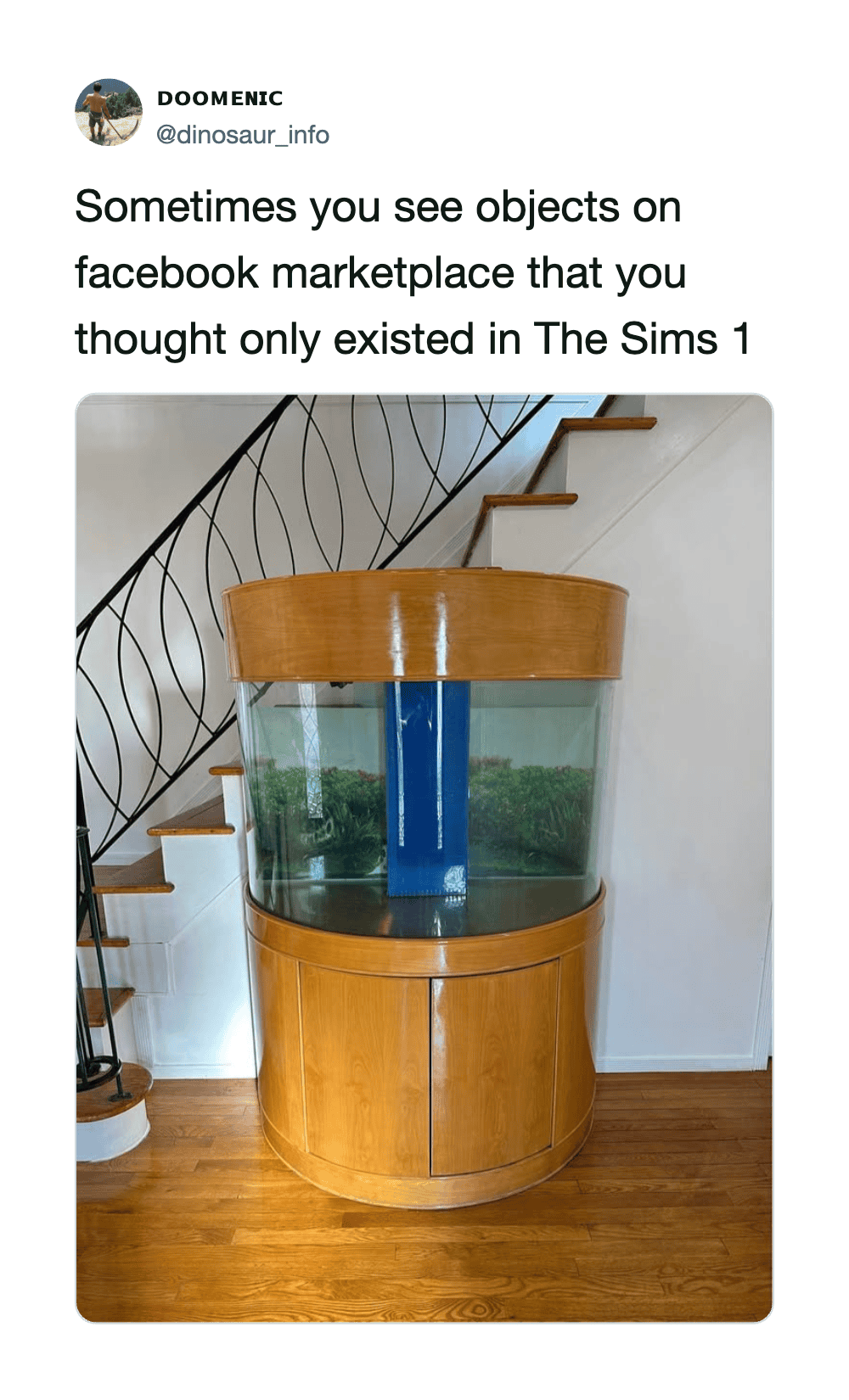 Object in a fish tank with a blue object inside, on a wooden stand.