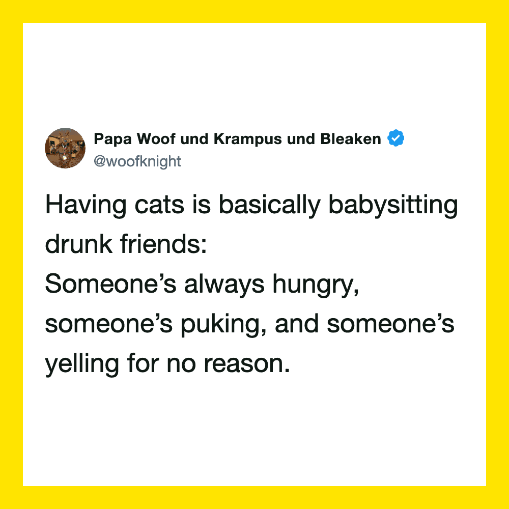 Having cats is basically babysitting drunk friends: Someone’s always hungry, someone’s puking, and.
