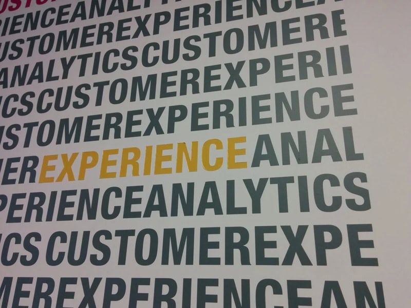 Close-up of text with 'EXPERIENCE' highlighted in yellow among other words.