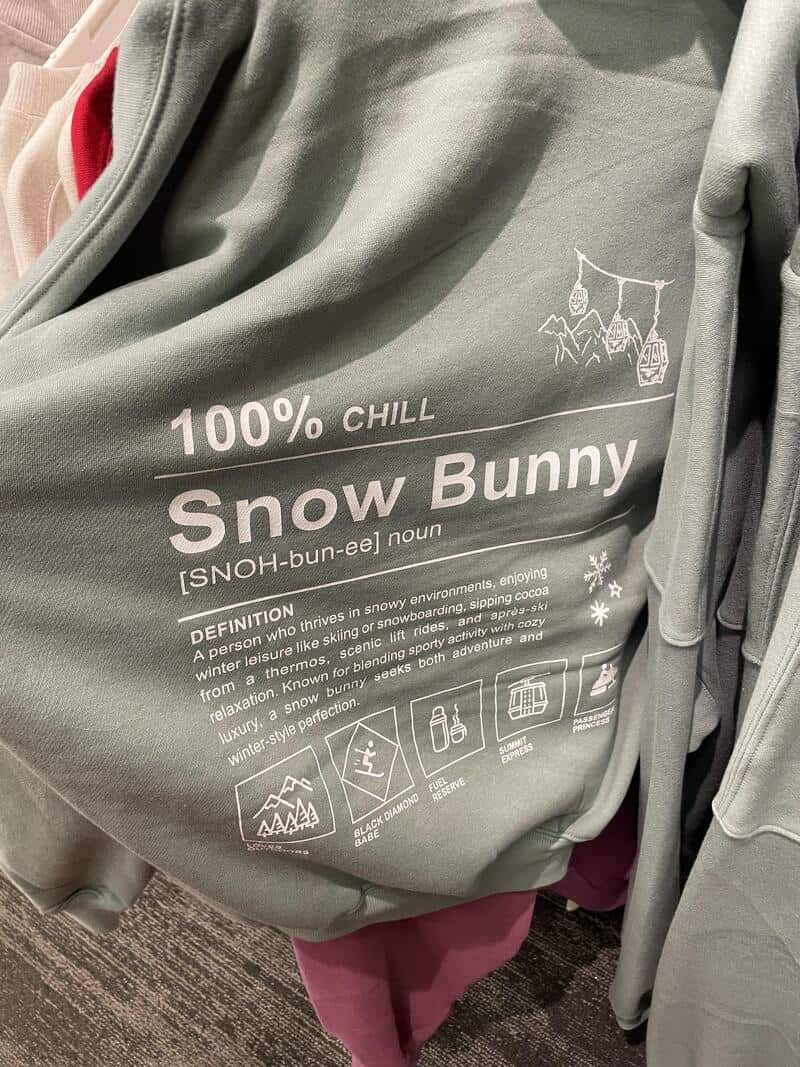 Gray hoodie with snow bunny design and text about snowboarding and relaxation.