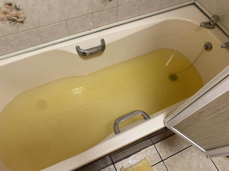 Bathtub filled with yellowish water, with a drain and a shower curtain.