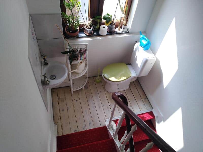 Small bathroom with a toilet, sink, and plants on the window sill.