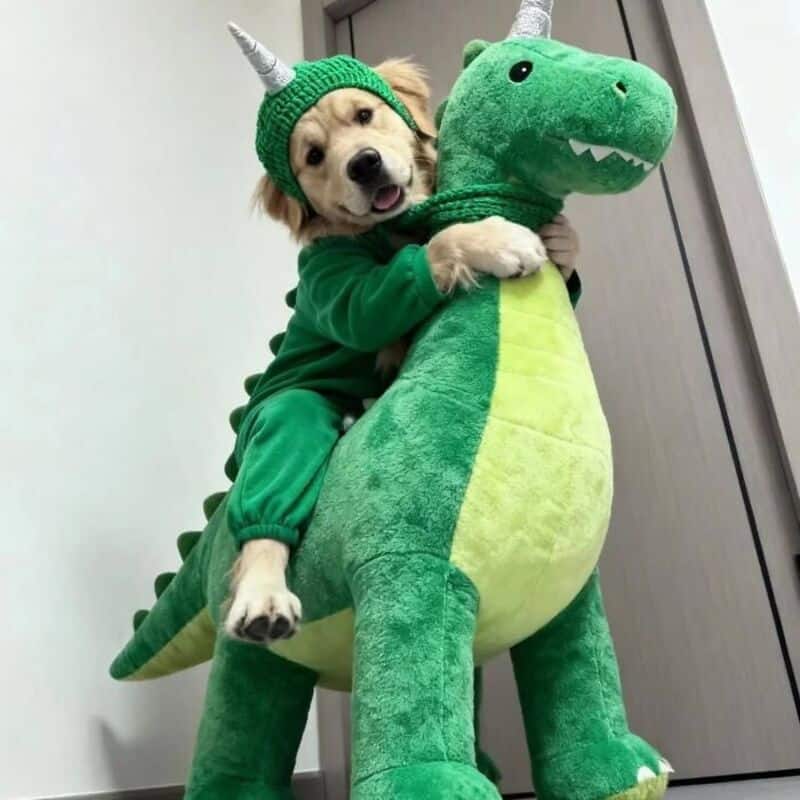 Dog in a green costume riding a plush dinosaur toy.