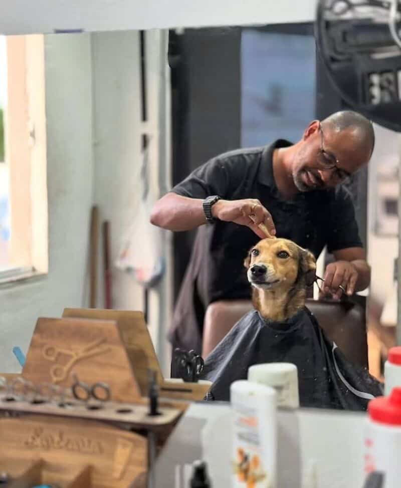Dog getting a haircut at a salon with a smiling barber.