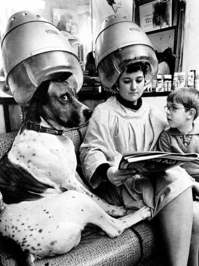 Dog and children under hair dryers at a salon, black and white photo.