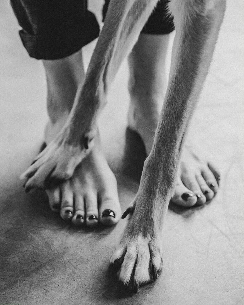 Dog with front paw on person's foot, black and white photo.