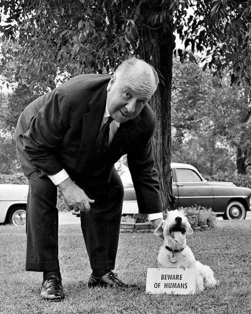 Man and dog with a 'Beware of Humans' sign in a park.
