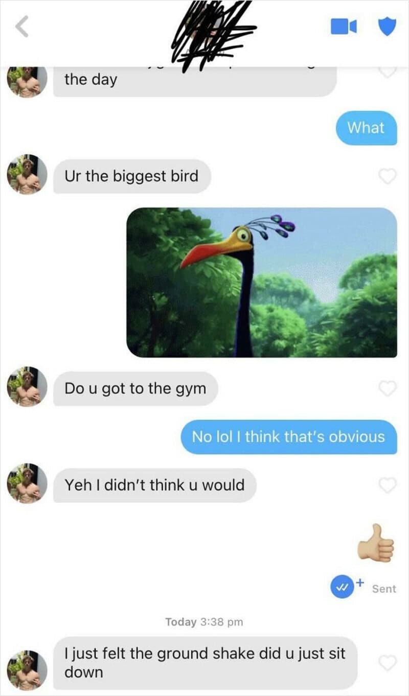 Conversation about a bird and gym, with a humorous image of a cartoon bird.