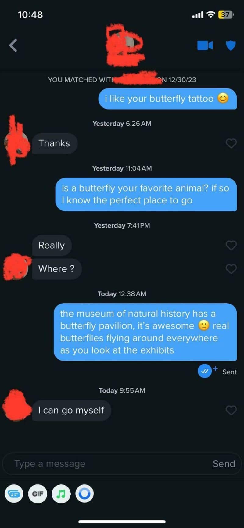 Conversation about butterfly tattoos and museum exhibit with a butterfly pavilion.