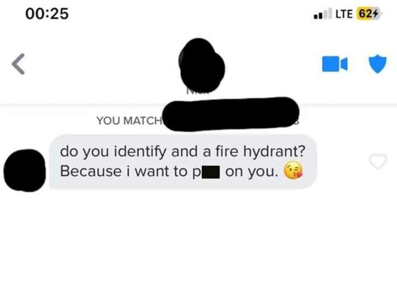 Chat message asking about fire hydrant and wanting to pee on it.