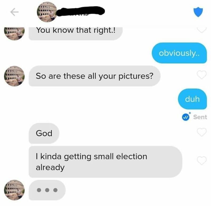Screenshot of a dating app chat with humorous messages about pictures and election.