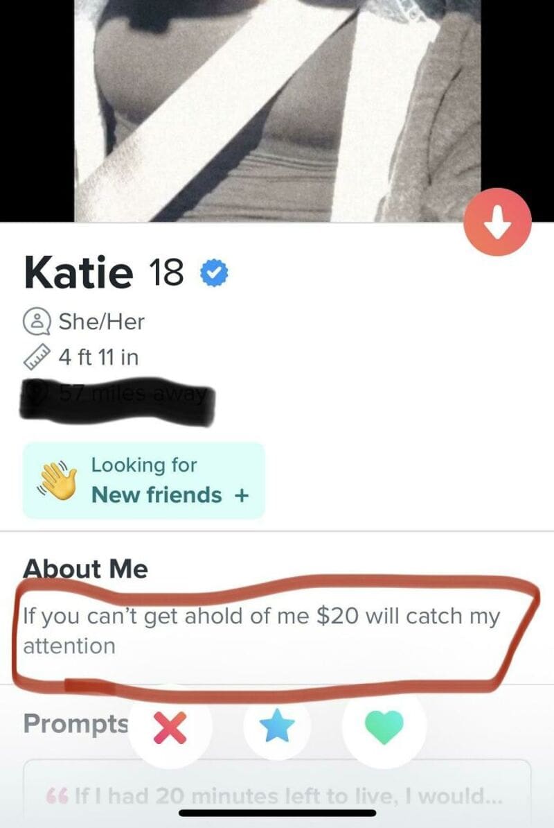 Screenshot of Katie's dating profile with a humorous 'About Me' statement.