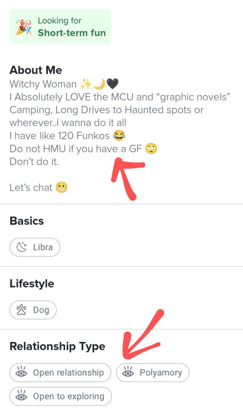 Screenshot of a dating profile with 'About Me' and 'Relationship Type' sections.
