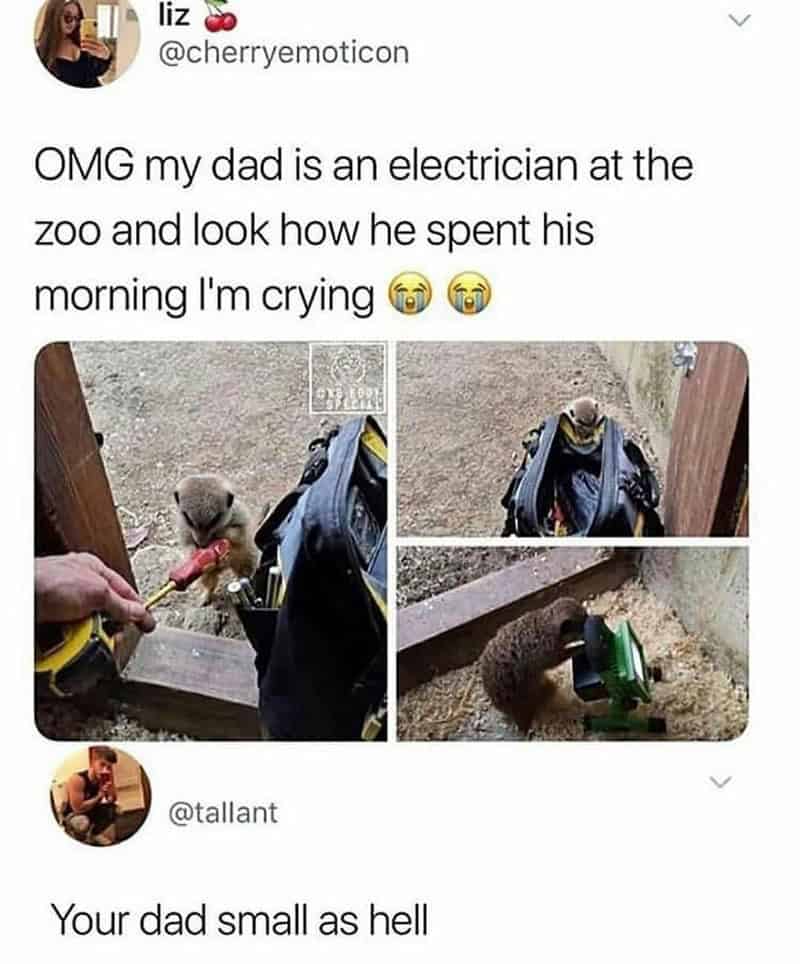 Child's toy dinosaur and small animal with a helmet and watering can.